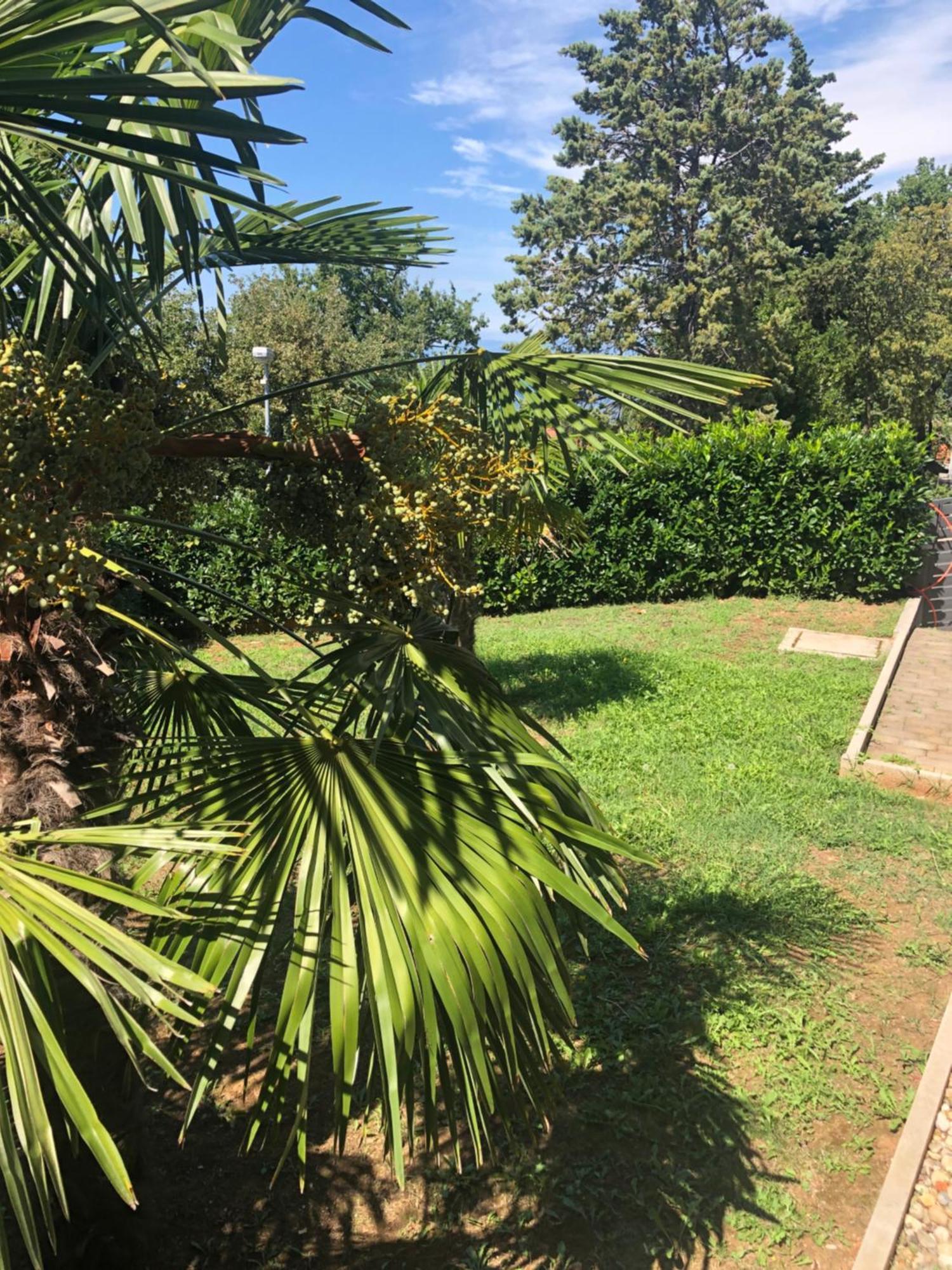 Villa Rudy Holiday Home Нівице Екстер'єр фото